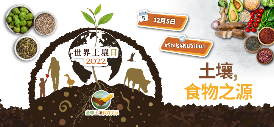 �DƬ4.jpg