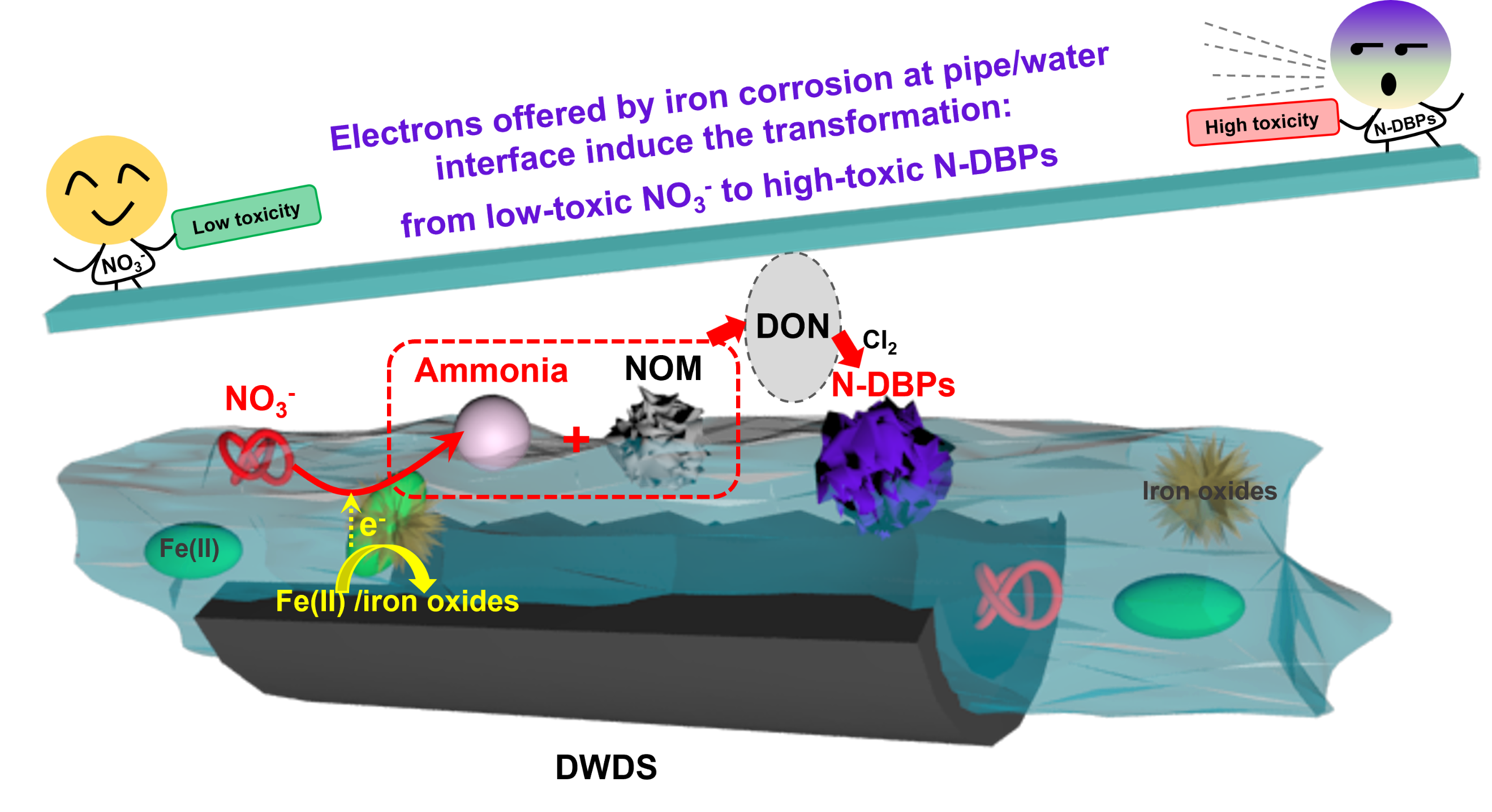 �DƬ3.png